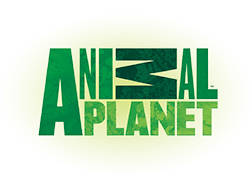 Animal planet